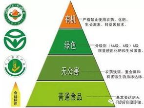 政策重磅！決定農(nóng)化行業(yè)未來十年走向的國家級政策與人工智能雙創(chuàng)服務(wù)平臺